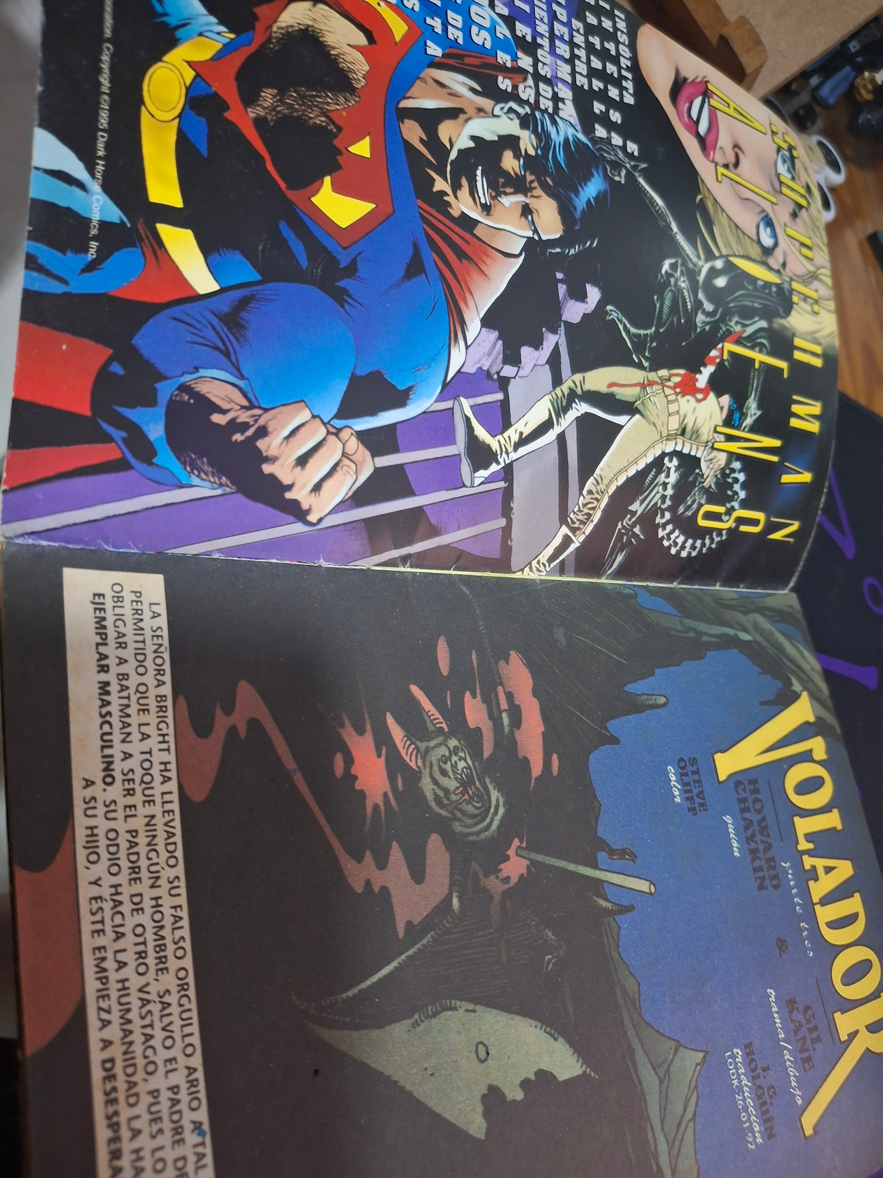 Páginas interiores Batman Volador No. 222 Parte 3